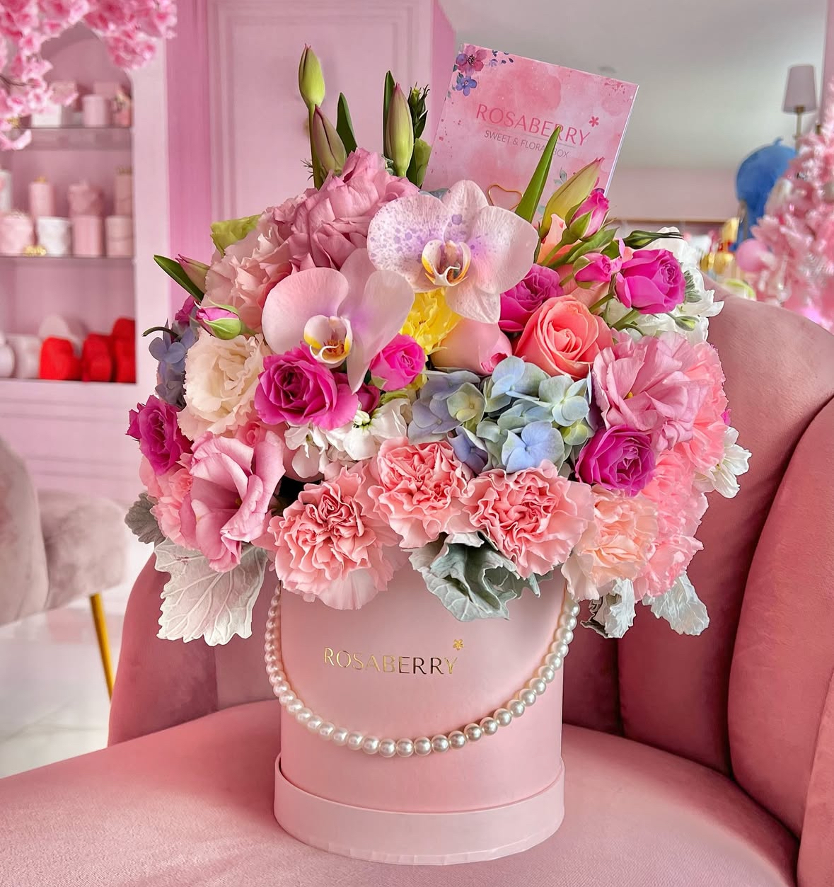 Image Newletter